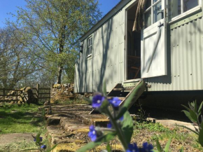 Posh Huts Farmstay